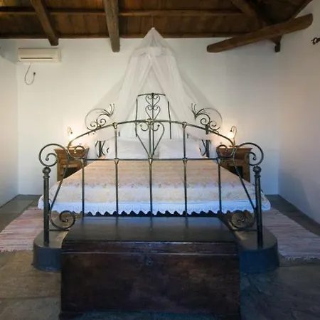 Abramis *